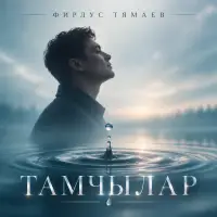 Фирдус Тямаев - Тамчылар