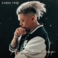 Элвин Грей - Ашкына гомер
