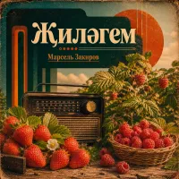 Марсель Закиров - Жилэгем
