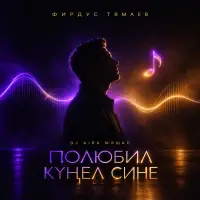Фирдус Тямаев - Полюбил кунел сине (DJ Aira Мэшап)