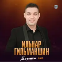 Ильнар Гильманшин - Тормыш яме