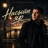 Расим Низамов - Насыйп яр