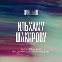Эльмира Калимуллина - Эзләдем, бәгърем, сине