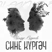 Ильдус Садыков - Сине кургэч
