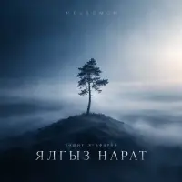NEUROMOÑ - Ялгыз нарат (Рәшит Ягъфәров)