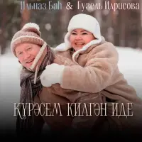 Гузель Идрисова - Күрәсем килгән иде